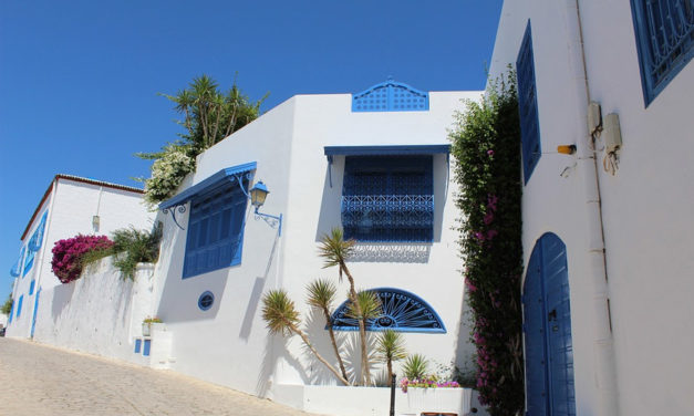 Comment se porte le marché immobilier en Tunisie ?