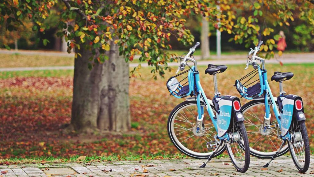 transporter son vélo en voiture