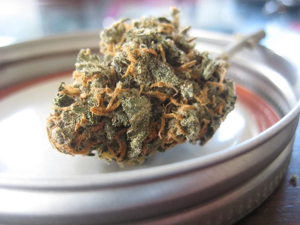 guide consommation CBD