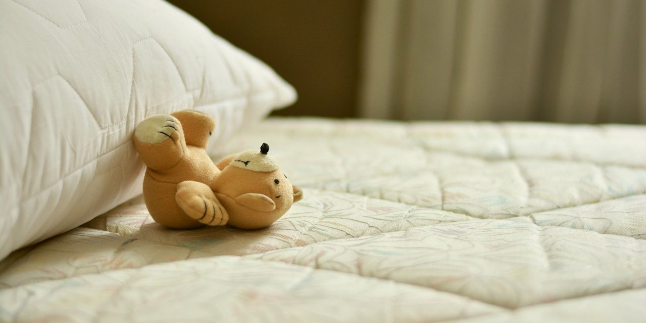 Punaises de lit : Tous nos conseils pour les éradiquer
