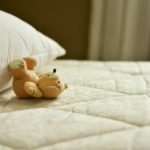 Punaises de lit : Tous nos conseils pour les éradiquer